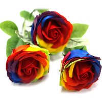Rainbow Rose Soap in Presentation Box