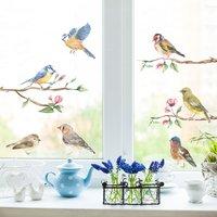 Window Stickers - British Garden Birds